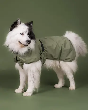 Paikka Paikka Reflective Shell Jacket Olive Hondenjas
