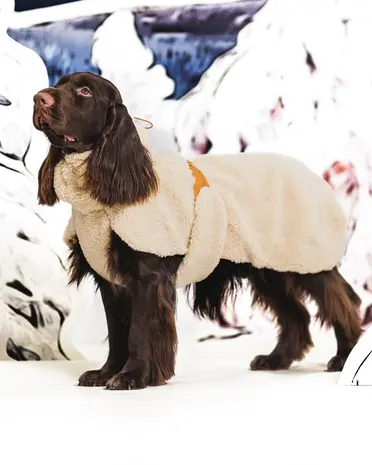 Paikka Paikka Sherpa Shirt Taupe Hondenjas Paikka Paikka Sherpa Shirt Taupe Hondenjas
