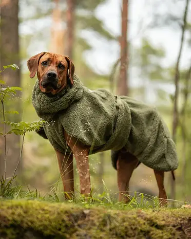 Paikka Paikka Sherpa Shirt Olive Hondenjas