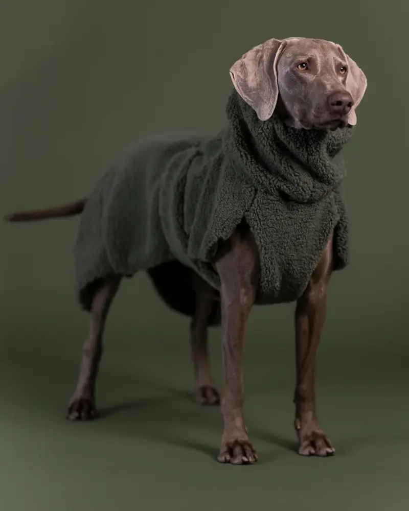 Paikka Paikka Sherpa Shirt Olive Hondenjas