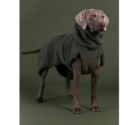 Paikka Paikka Sherpa Shirt Olive Hondenjas