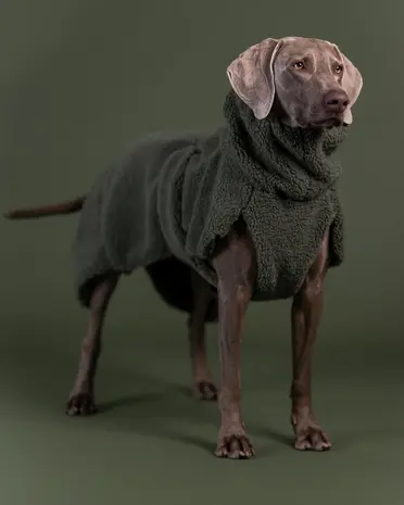 Paikka Paikka Sherpa Shirt Olive Hondenjas