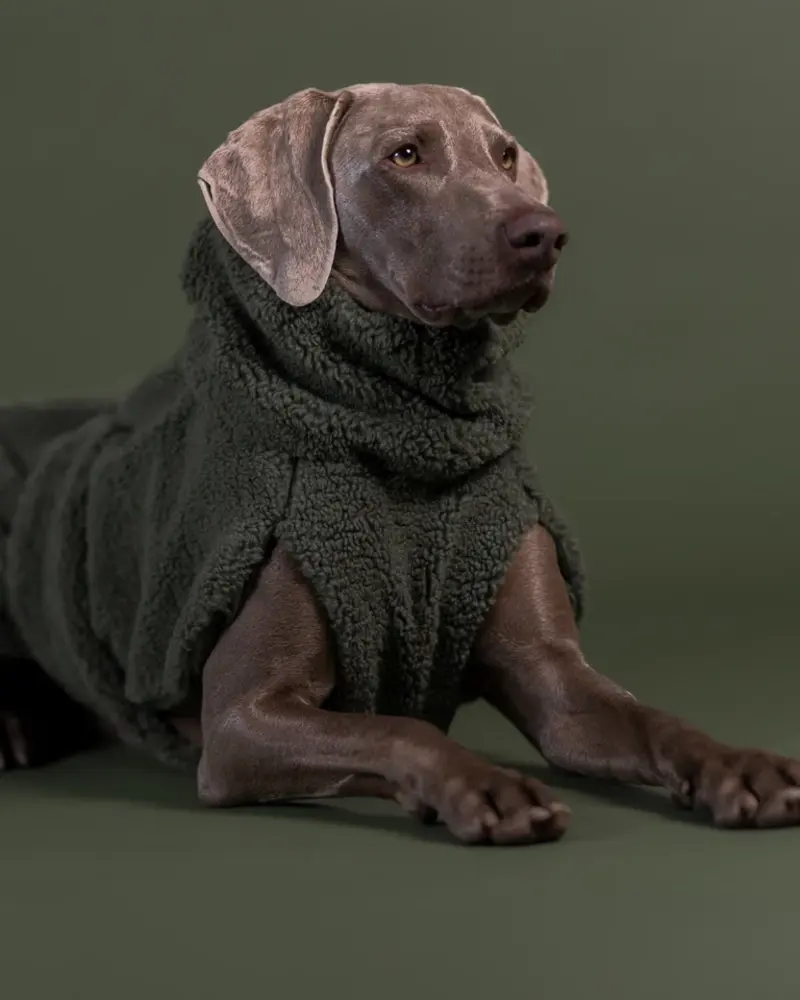 Paikka Paikka Sherpa Shirt Olive Hondenjas
