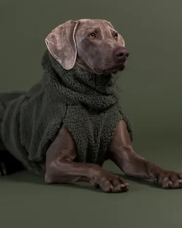 Paikka Paikka Sherpa Shirt Olive Hondenjas