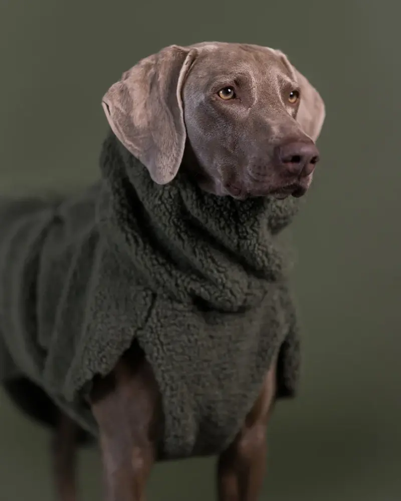 Paikka Paikka Sherpa Shirt Olive Hondenjas