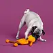 Petshop by Fringe studio Fringe Harvest Cutie Plush Dog Toy Petshop by Fringe studio Fringe Harvest Cutie Plush Dog Toy