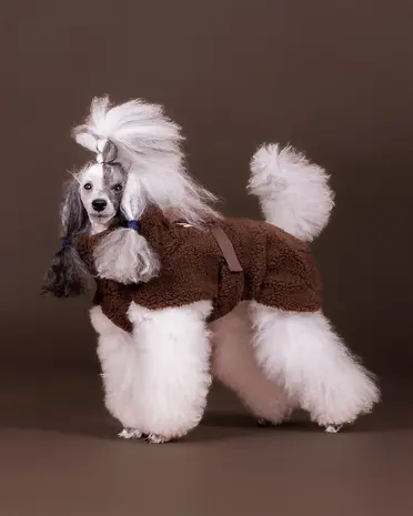 Paikka Paikka Sherpa Shirt Choco Hondenjas Paikka Paikka Sherpa Shirt Choco Hondenjas