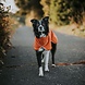 Woolly Wolf Woolly Wolf Alpha 360 Fleece Pullover