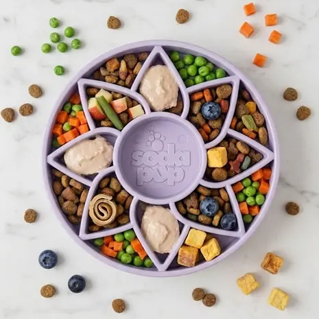 Sodapup SodaPup Zonnebloem Softie eTray Slowfeeder