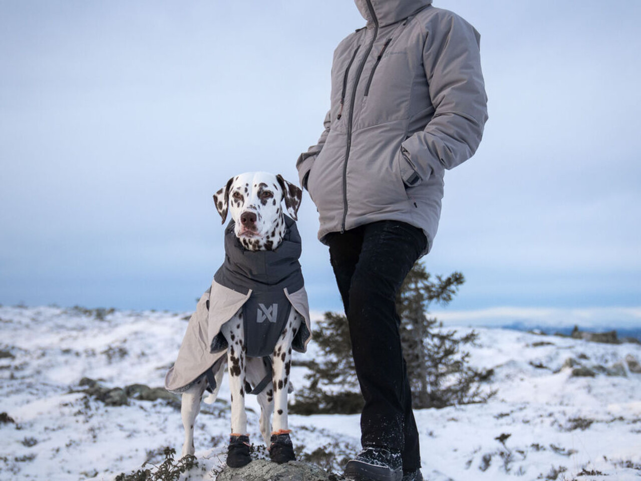 Non Stop Dogwear Non Stop Dogwear Trail isolator + jacket 2.0 women's Non Stop Dogwear Non Stop Dogwear Trail isolator + jacket 2.0 women's