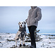 Non Stop Dogwear Non Stop Dogwear Trail isolator + jacket 2.0 women's Non Stop Dogwear Non Stop Dogwear Trail isolator + jacket 2.0 women's