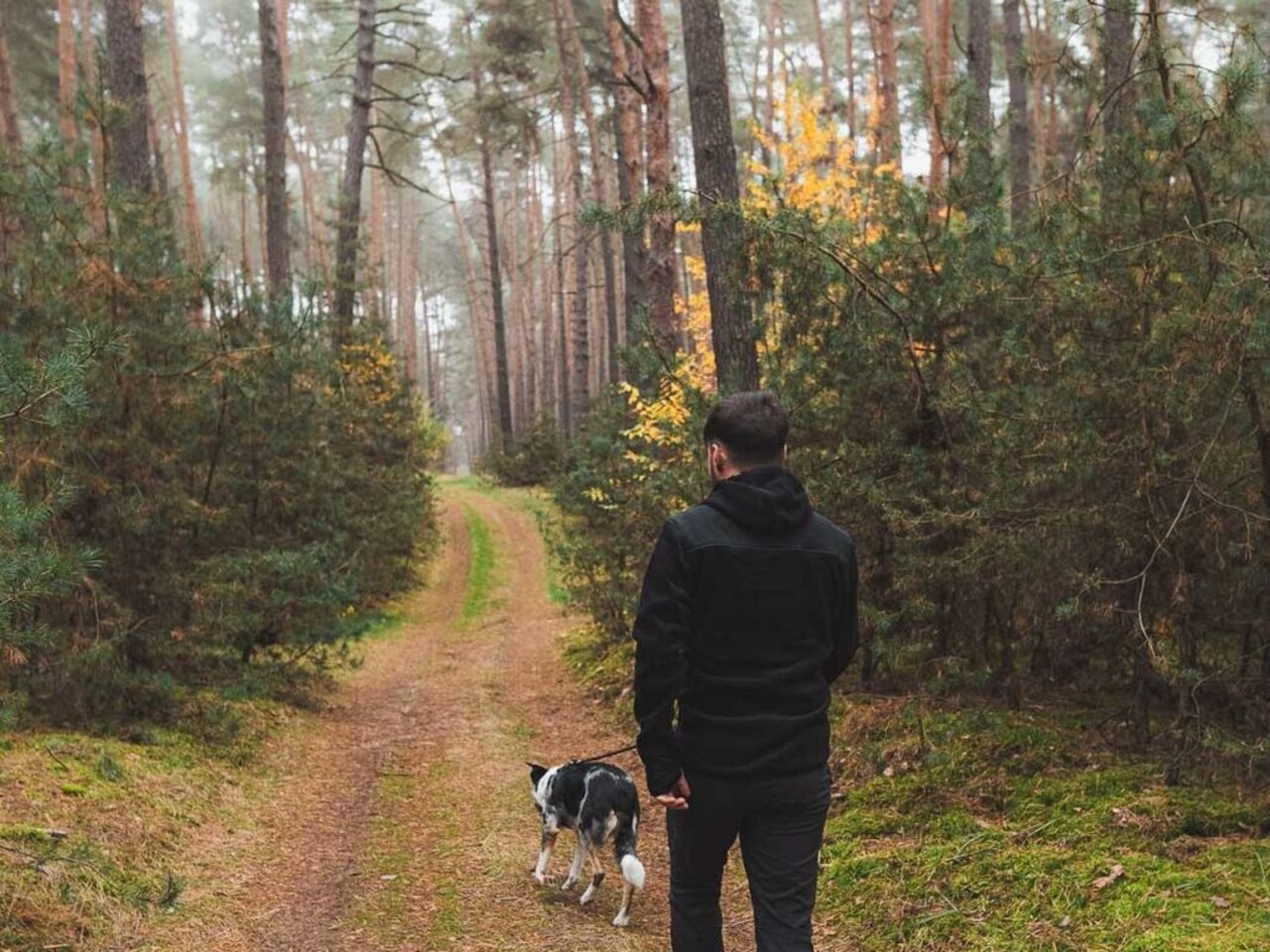 Non Stop Dogwear Non Stop Dogwear Trail fleece FZ men's Non Stop Dogwear Non Stop Dogwear Trail fleece FZ men's
