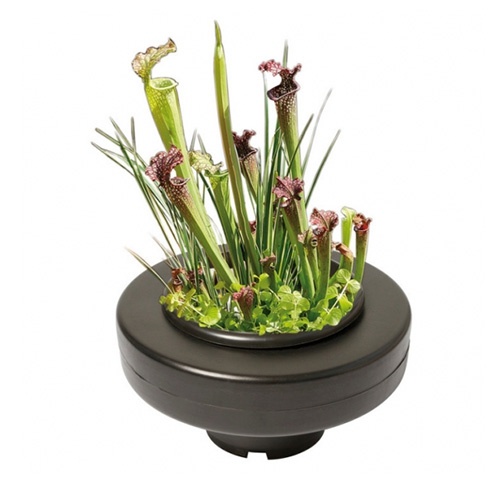 Floating island 25x25x5cm - Superfish | MaJa Koi