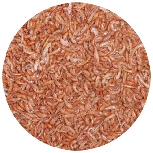 Natuurvoer Gammarus 2,5 ltr Natuurvoer Gammarus 2,5 ltr