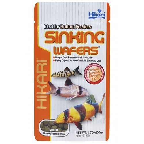 Hikari / Saki Hikari Hikari Sinking Wafers 25 gram Hikari / Saki Hikari Hikari Sinking Wafers 25 gram