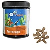 HS Aqua Hs Aqua Terracaps 250 G HS Aqua Hs Aqua Terracaps 250 G