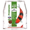 Sera Sera Koi All Seasons Probiotic 5 KG (actie) Sera Sera Koi All Seasons Probiotic 5 KG (actie)