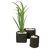 Superfish Superfish Flexi Plant Basket 30 x 30 x 25 cm Superfish Superfish Flexi Plant Basket 30 x 30 x 25 cm
