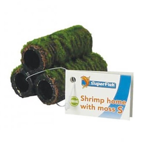 Superfish Superfish Shrimp Home met Mos S Superfish Superfish Shrimp Home met Mos S