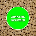 Zinkend Koivoer