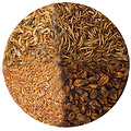 Natuurvoer