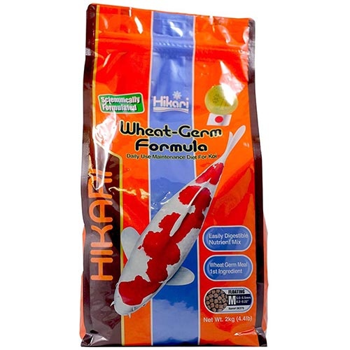 Koi Futter Hikari Koifutter Wheat Germ Medium 10kg - Japanisches Für Kältere Temperaturen Wheat Germ Koi