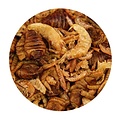 Natuurvoer