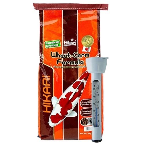 Hikari / Saki Hikari Hikari Wheat Germ Formula Large 5 KG en Thermometer Hikari / Saki Hikari Hikari Wheat Germ Formula Large 5 KG en Thermometer