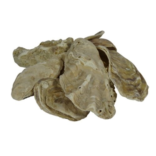 Air Aqua Japanse Oesterschelpen 20 KG Air Aqua Japanse Oesterschelpen 20 KG