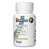 Superfish Superfish Artemia Eieren 50 gram Superfish Superfish Artemia Eieren 50 gram