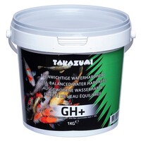 Takazumi GH+