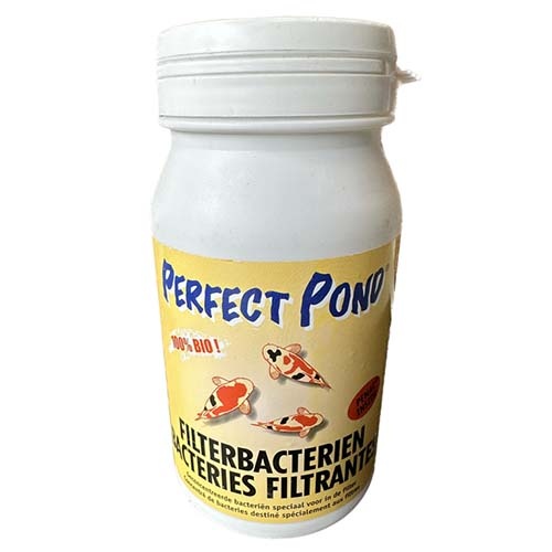 Perfect Pond Filterbacteriën 500 gram kopen ️PEEKOI.NL Peekoi