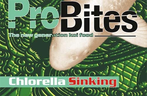 probites-chlorella-sinking-kopen