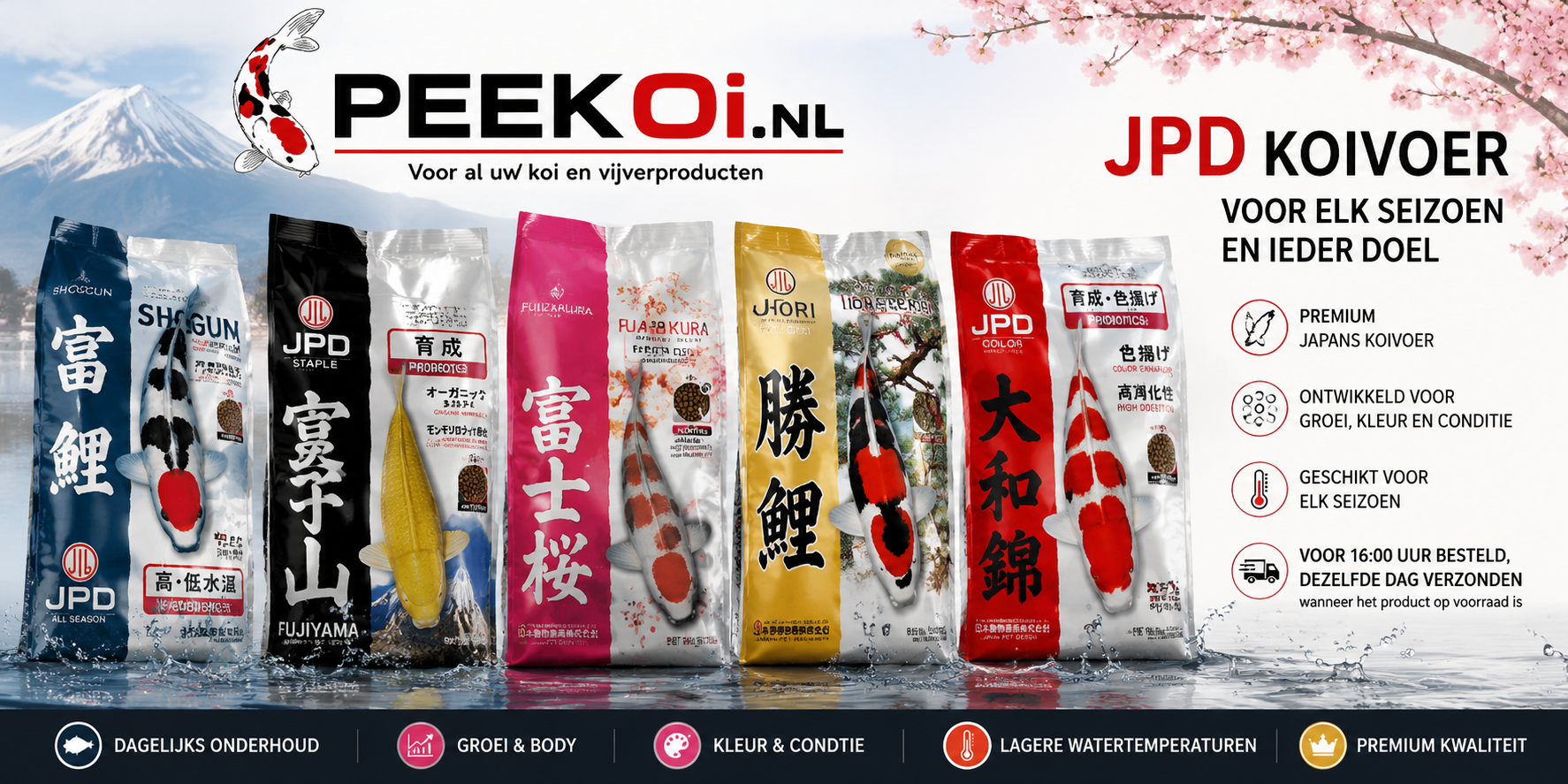 JPD koivoer kopen