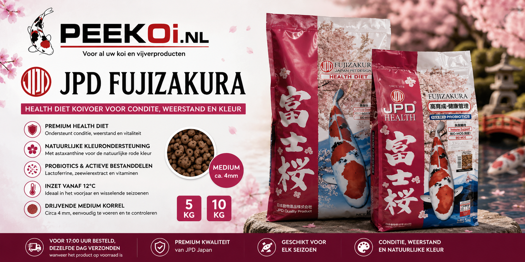 JPD koivoer Fujizakura kopen