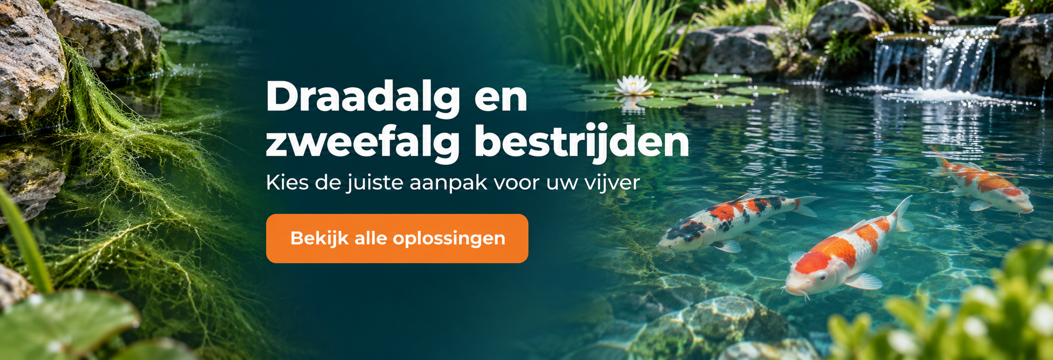 Draadalg en zweefalgen bestrijden in de vijver