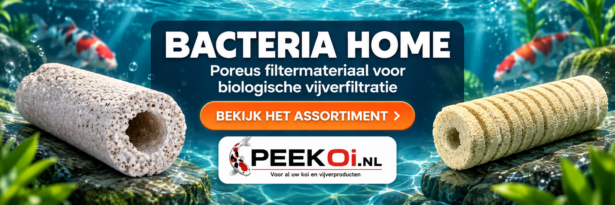 bacteria-home-spiraal-kopen