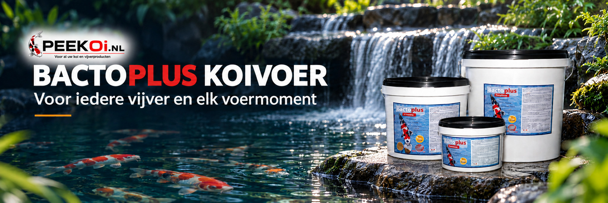 bactoplus-koivoer-kopen