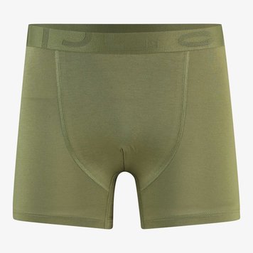 Saint Basics St. Luke olive