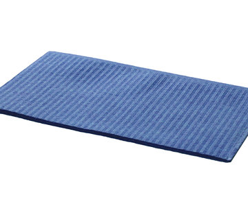 DispoDeals DispoDeals Dental Towels 33x45cm (2-laags) blauw