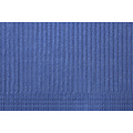 DispoDeals DispoDeals Dental Towels met PE-folie 33x45cm (2-laags) - blauw