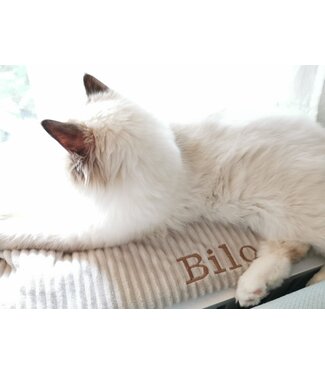 Gestalten sie  Ihren eigenen Katzenkorb! - Copy