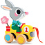 Djeco Bunny pull along toy Roulapic - Djeco