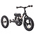 Trybike Trybike Steel draisienne 2-en-1 Noir