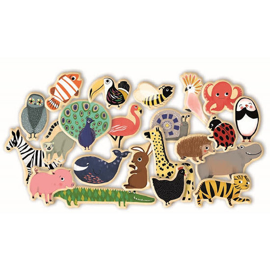 Djeco Magnete - Magnimo - Djeco - 42 Stück