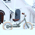 Trybike Trybike Steel balance bike Vintage green