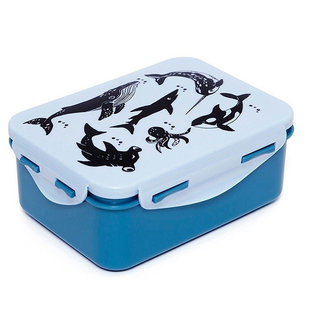 Lunchbox brooddoos Sea animals - Petit Monkey
