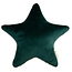 Nobodinoz tipi en accessoires Star cushion Aristote Jungle Green Nobodinoz