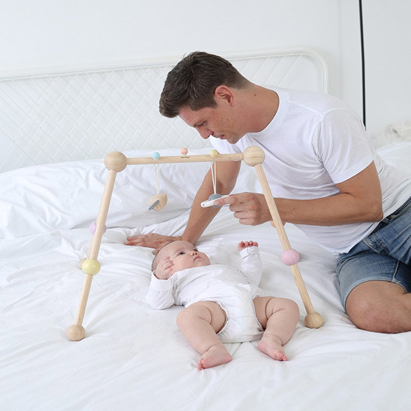 plan toys baby gym