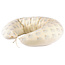 Nobodinoz tipi en accessoires Nobodinoz zwangerschapskussen Blue Gatsby - Cream